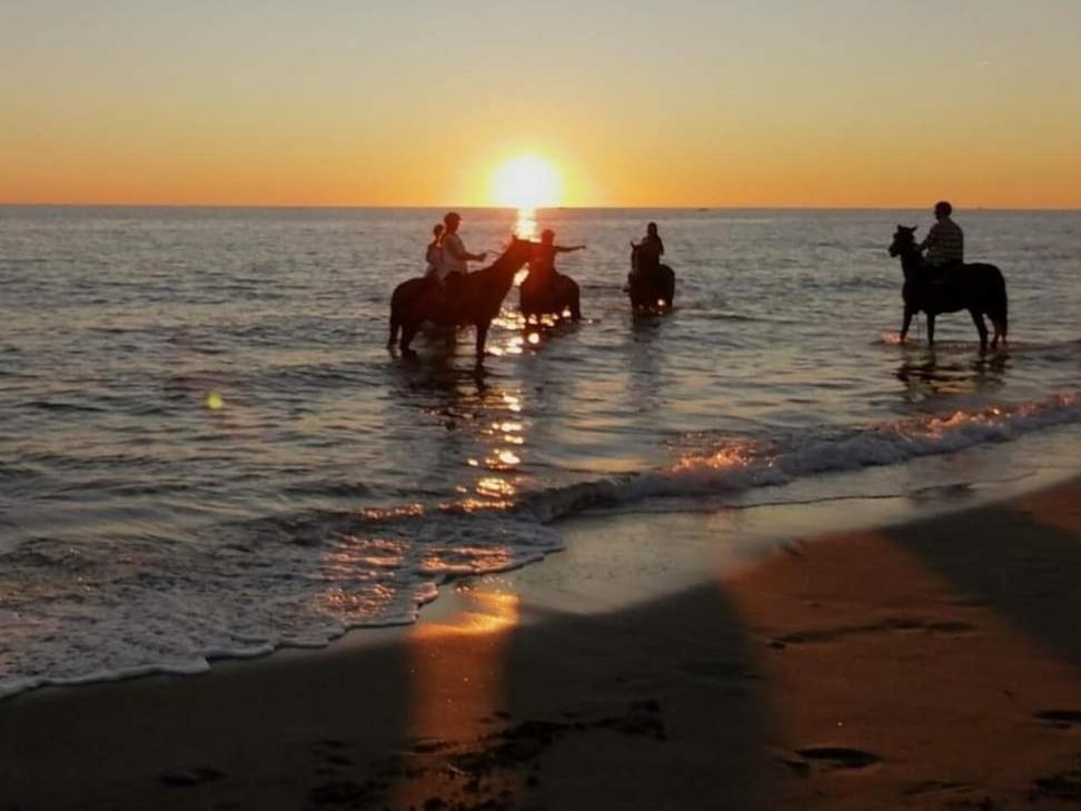Mediterraneo Travel Gela Eksteriør bilde